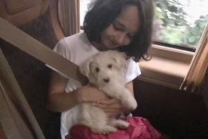 Kuzey, köpek ve Yedikule Barınağı