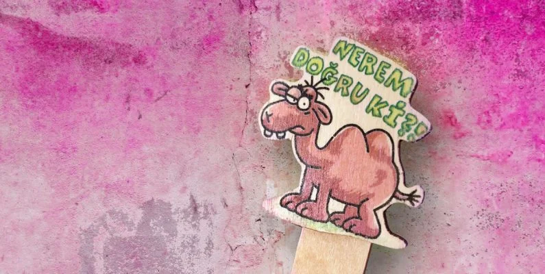 megep ve devenin eğri formları üzerine