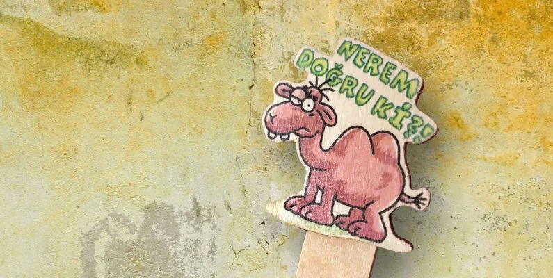 megep ve devenin eğri formları üzerine