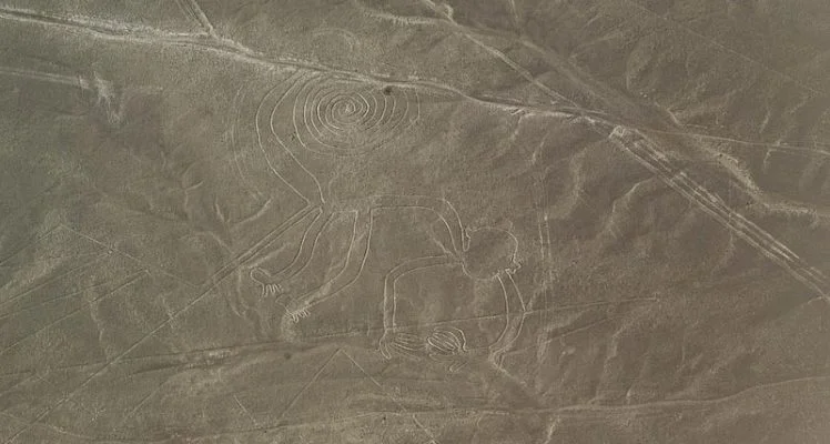 Nasca 46