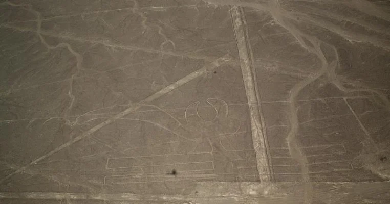 Nasca 49