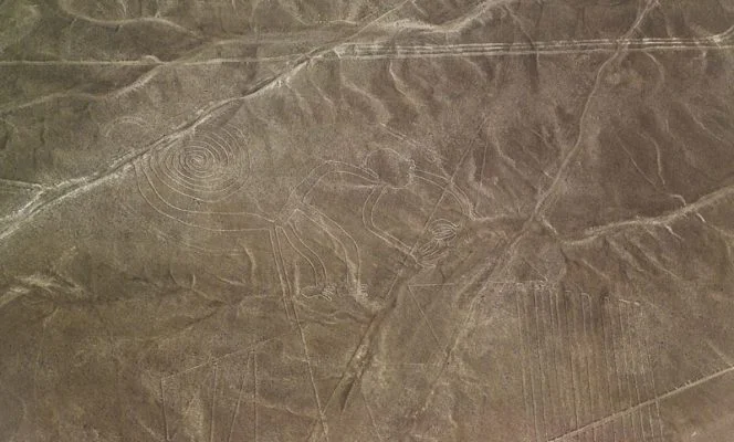 Nasca 60